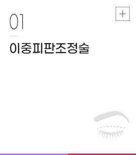 이중피판조정술