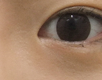 이미지샘플