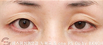 이미지샘플