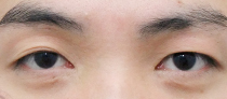 이미지샘플